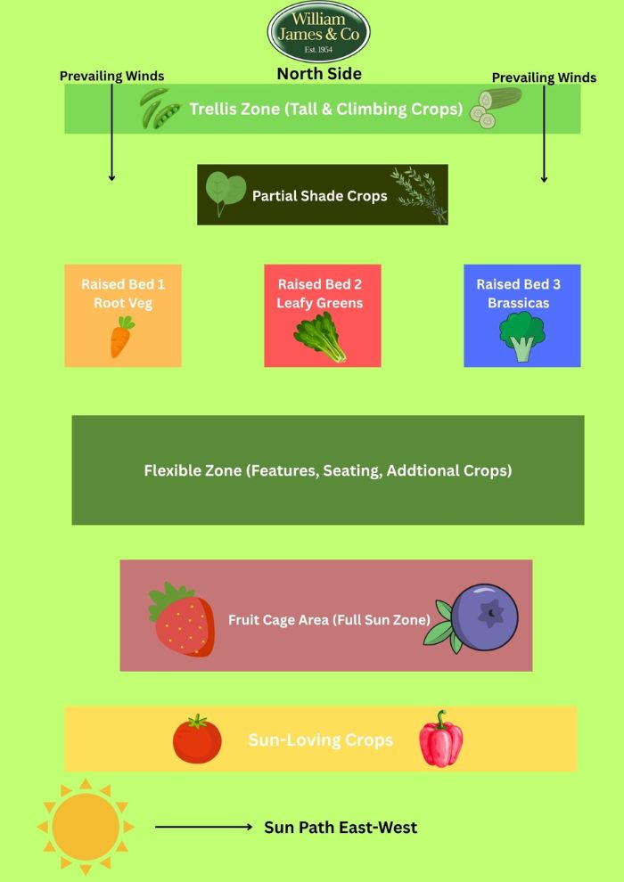 Infographic showing Garden Crop Positioning Example