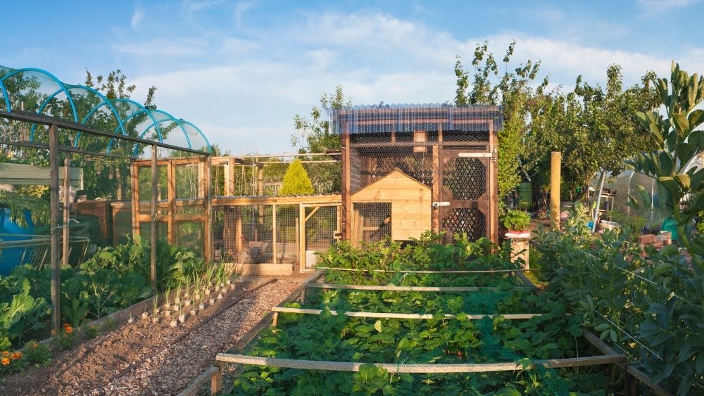 Allotment Maintenance