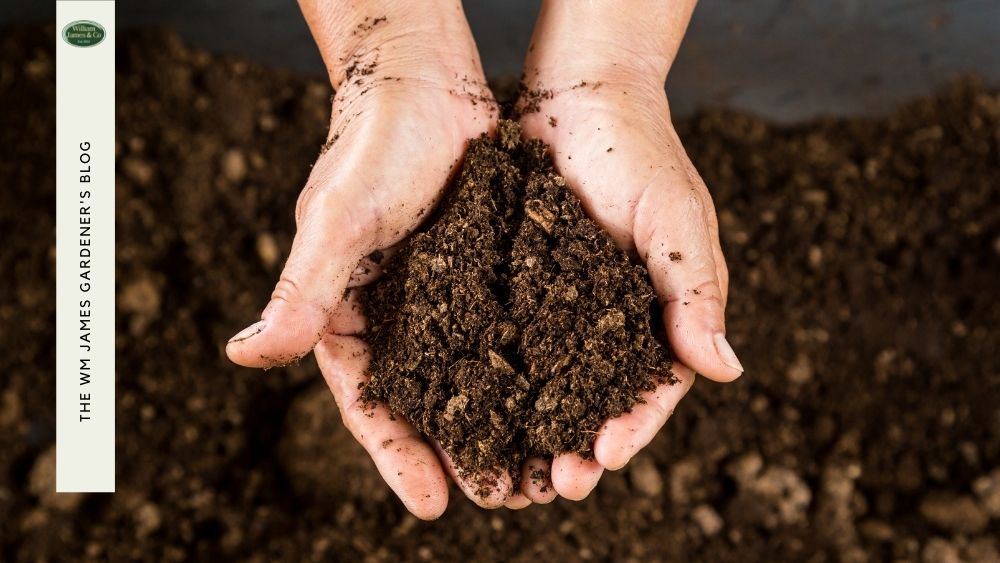 Plant Fertilising - The Ins & Outs of Feeding Plants