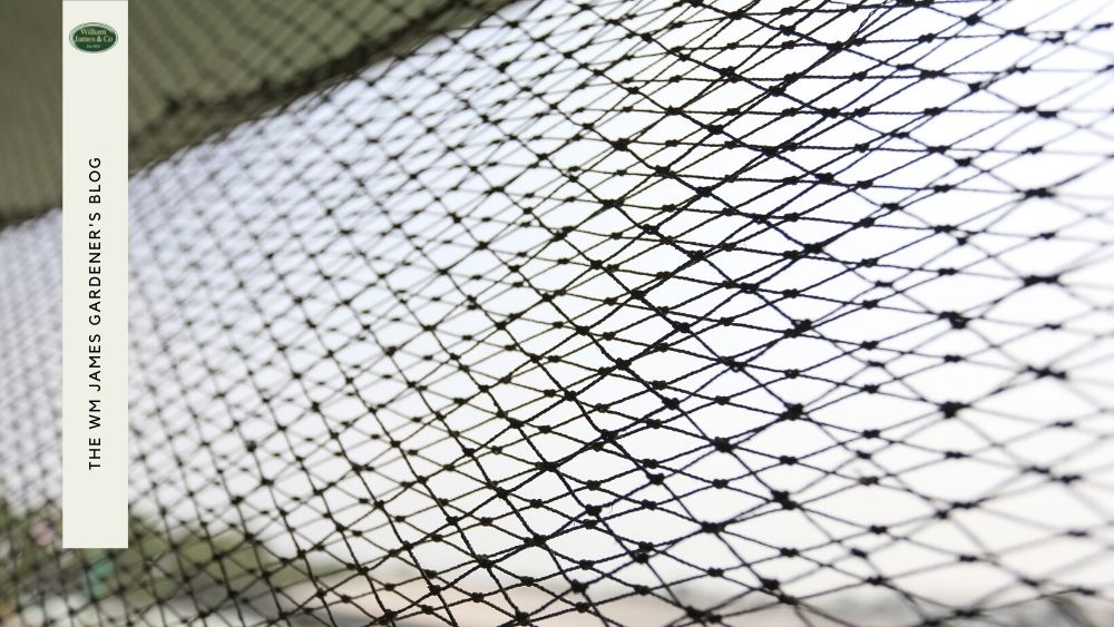 How To Choose The Best Garden Netting For Your Project