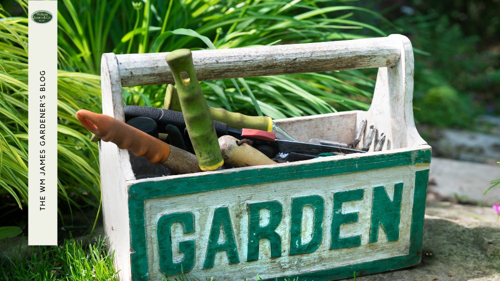 Gardening Gifts for Dads Young & Old: Seasonal Picks for Every Occasion