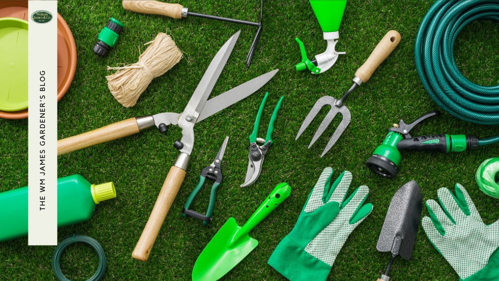 A Green Thumb's Guide: Top 5 Essential Gardening Tool Names