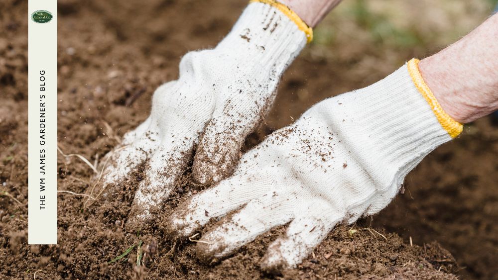 Preparing a vegetable garden in Spring
