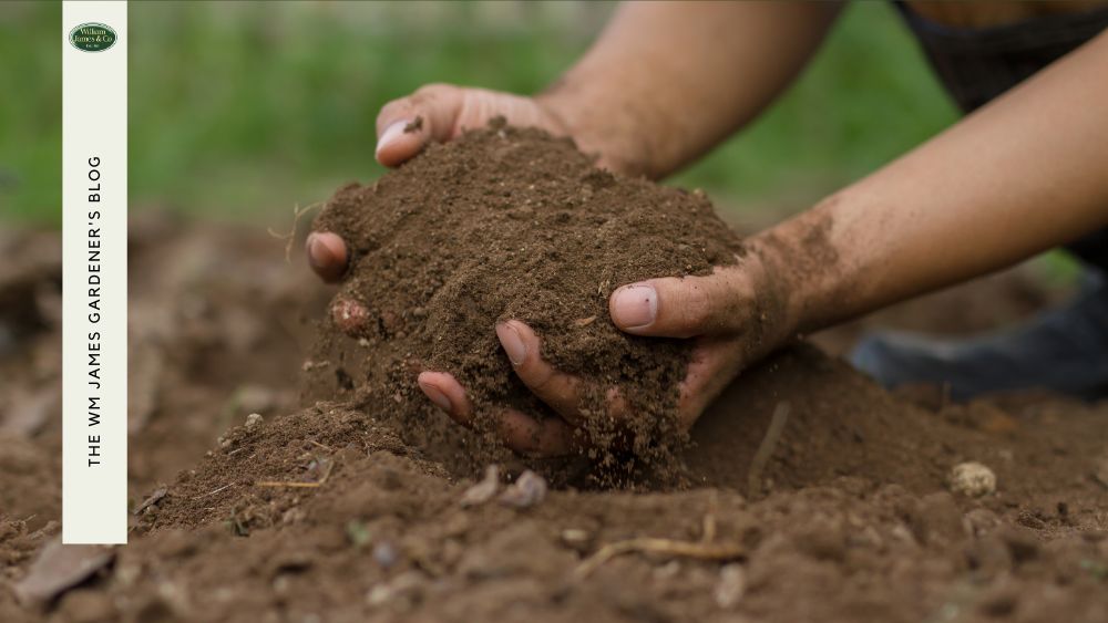 Feeding The Future: The Best Soil For Growing Vegetables Sustainably