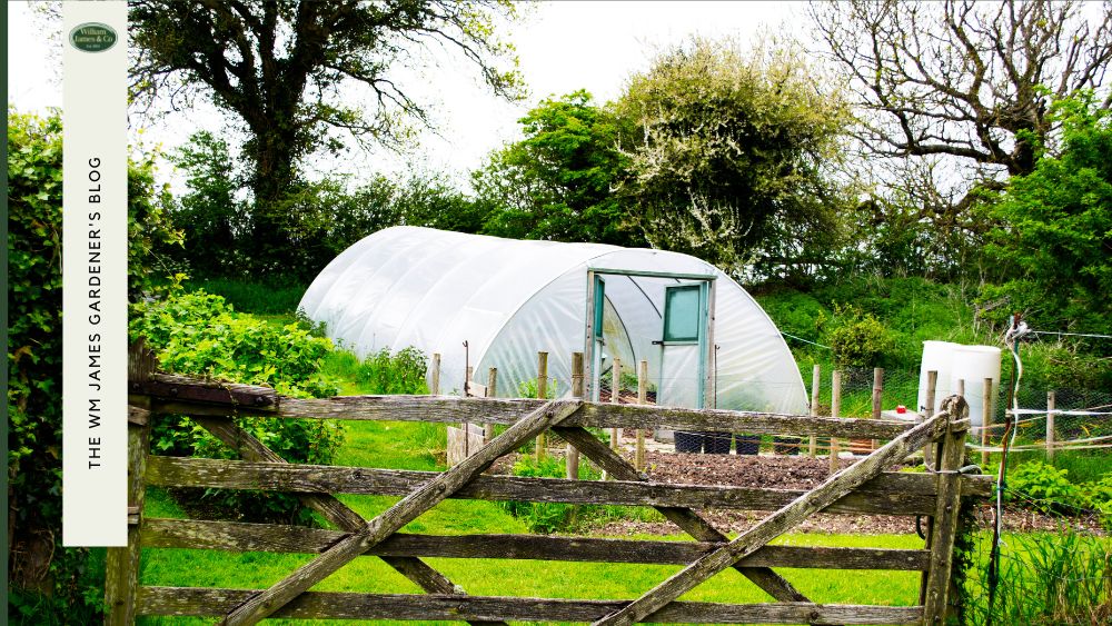 How To Grow Bigger & Better Veg With A Garden Net Tunnel