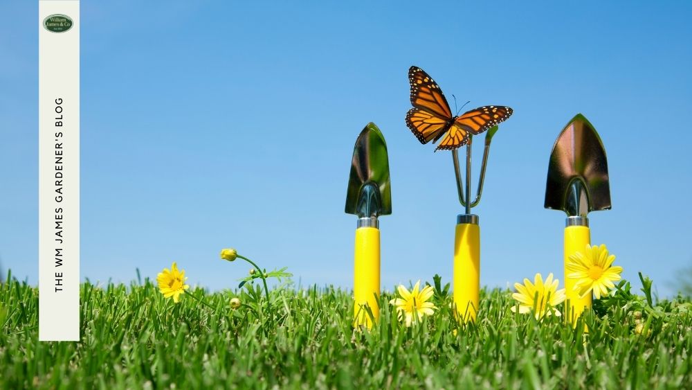 5 Allotment Accessories To Help With Your Plot