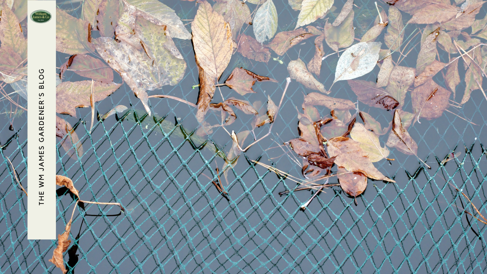 How Fish Pond Netting Can Protect Your Garden Feature