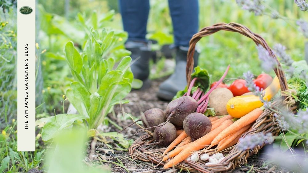 How to Start an Allotment from Scratch, WM James