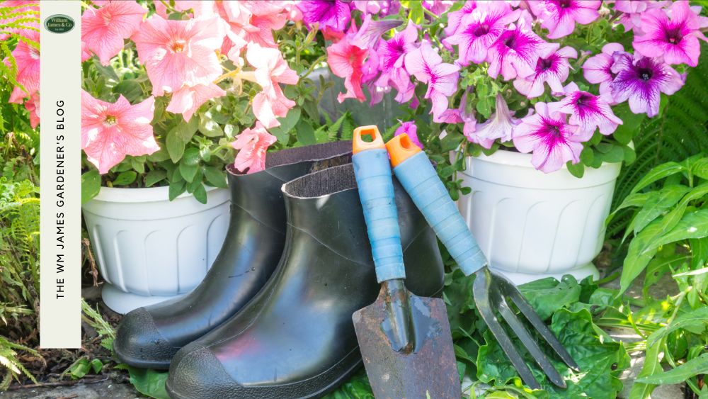 The Perfect Gifts For Garden Lovers: Handpicked By Experts!