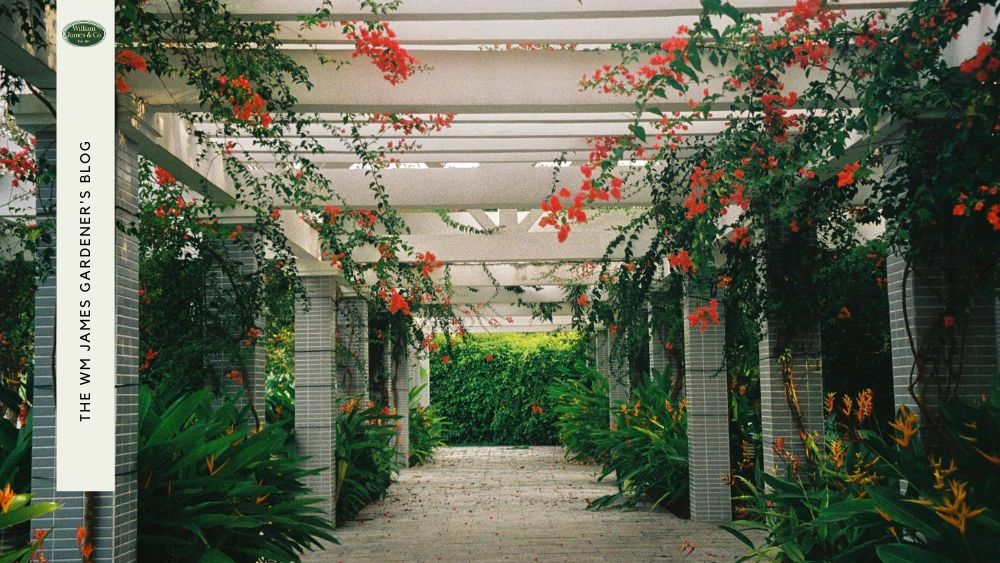 How to Shade Plants: Your Guide to Protecting Your Garden From Harsh Sunlight