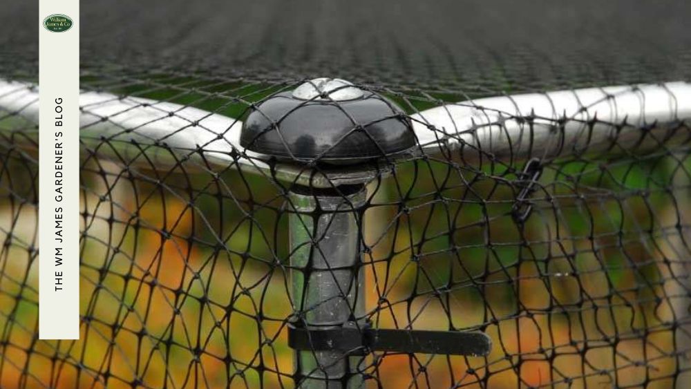 Seasonal Fruit Cage Maintenance Checklist