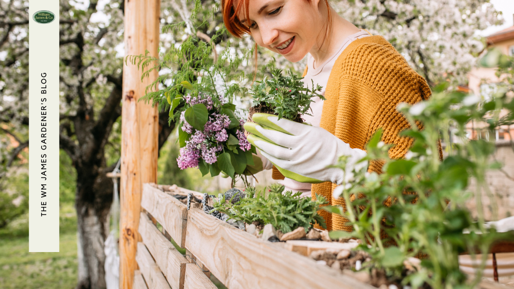 Vertical Vegetable Garden Ideas to Maximise Space