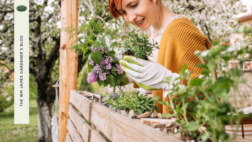 Vertical Vegetable Gardening: A Growing Trend