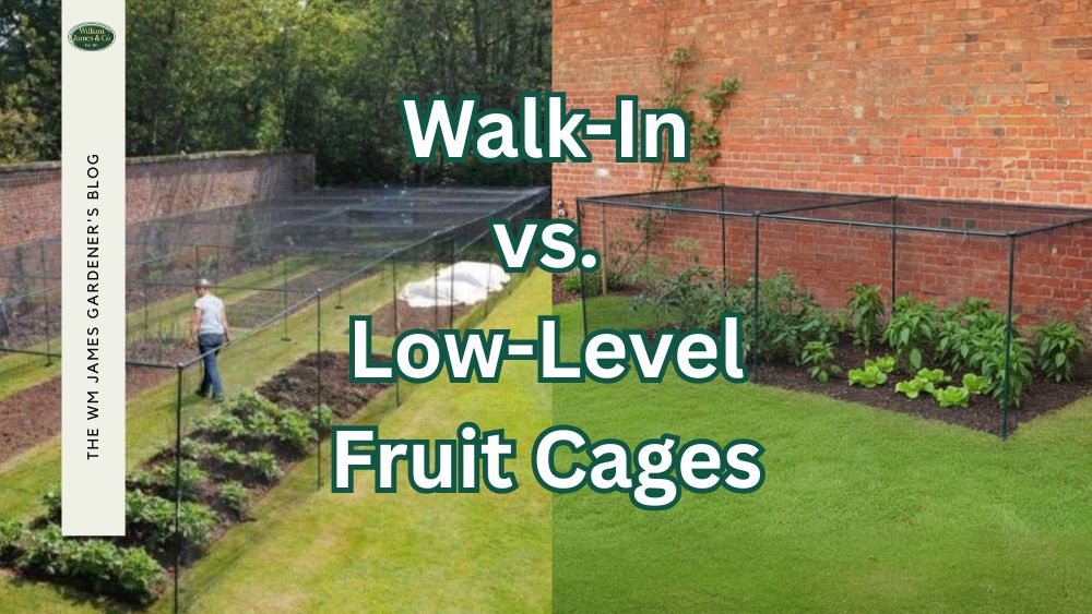 Walk-In vs Low-Level Fruit Cages: Which Is Best for Your Garden?
