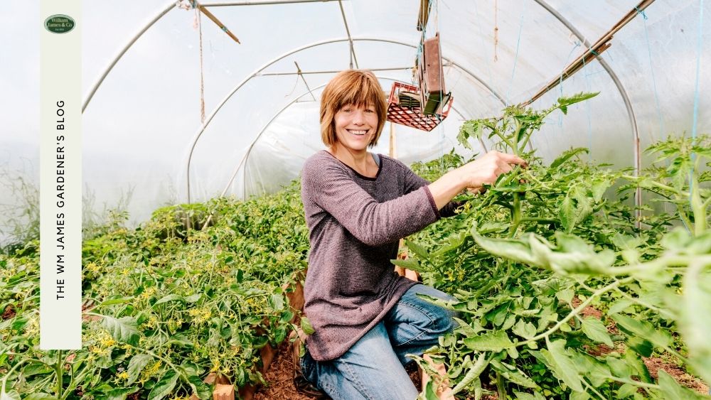 What To Grow In A Polytunnel