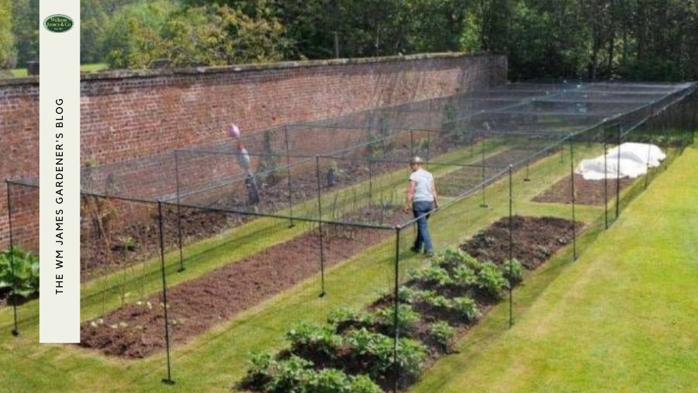 Man checking the position of his fruit cage