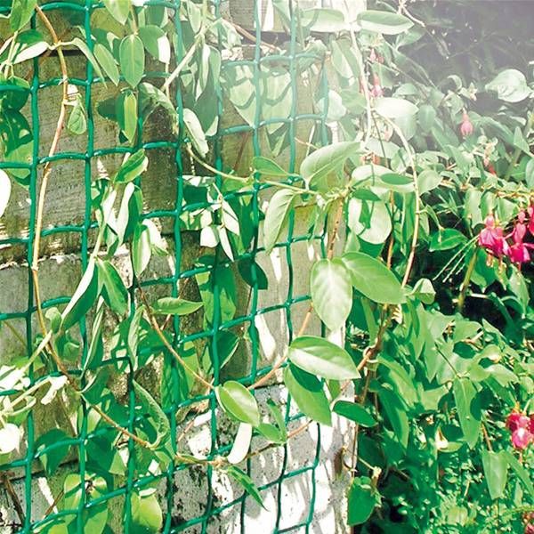 How To Choose The Best Garden Netting For Your Project WM James & Co.