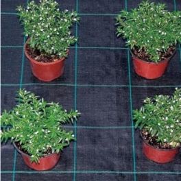Image for Heavy Duty Ground Cover - Per Roll