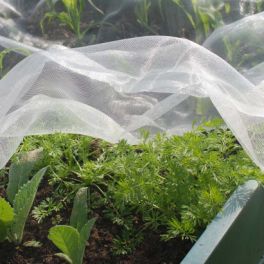 Image for Fine Insect Protection Netting - Per Metre
