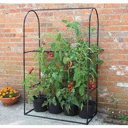 Tomato Crop Booster 