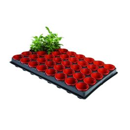 professional seed and cutting tray