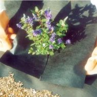 Image for Porous Ground Cover