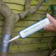 Image for Insect Barrier Glue