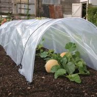 Image for Giant Poly Tunnel