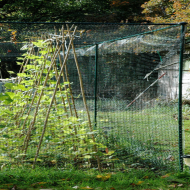 WM James Premium Aluminium Low Vegetable Cages