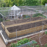 WM James Classic Steel Low Vegetable Cages