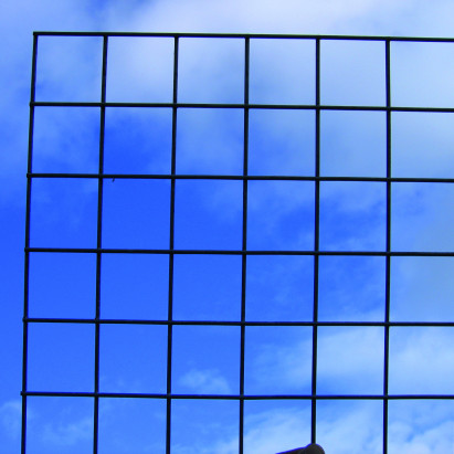 Weldmesh 50mm x 50mm Mesh 0.915m X 25m Roll