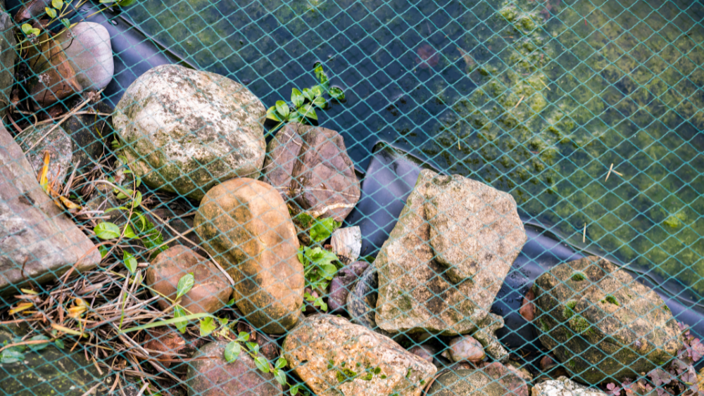 How Fish Pond Netting Can Protect Your Garden Feature, A Veg Gardeners  Guide
