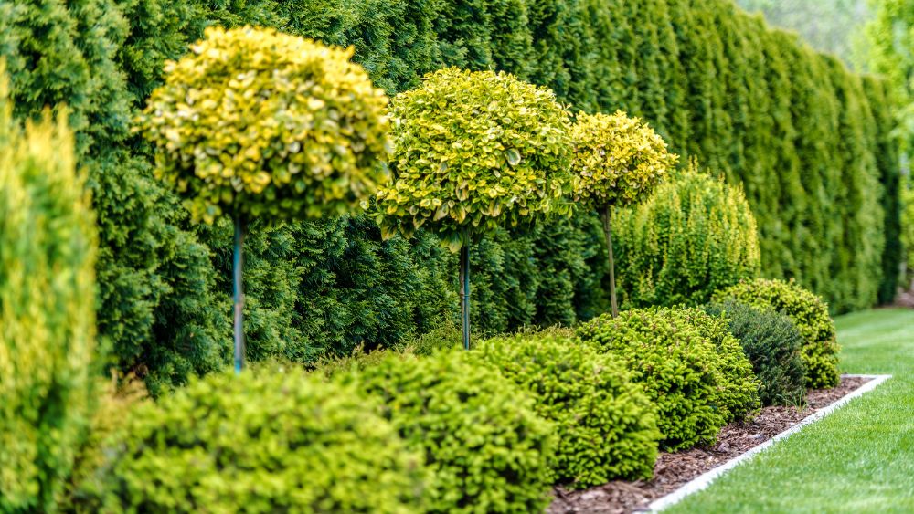 Protecting Your Garden Trees