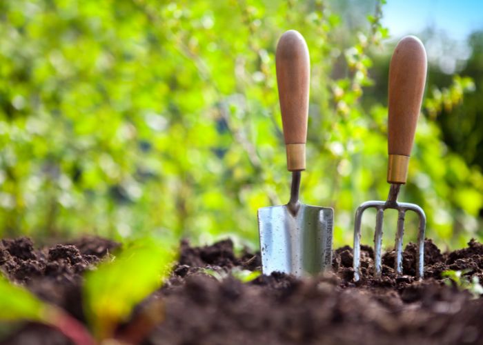 Best Garden Gifts