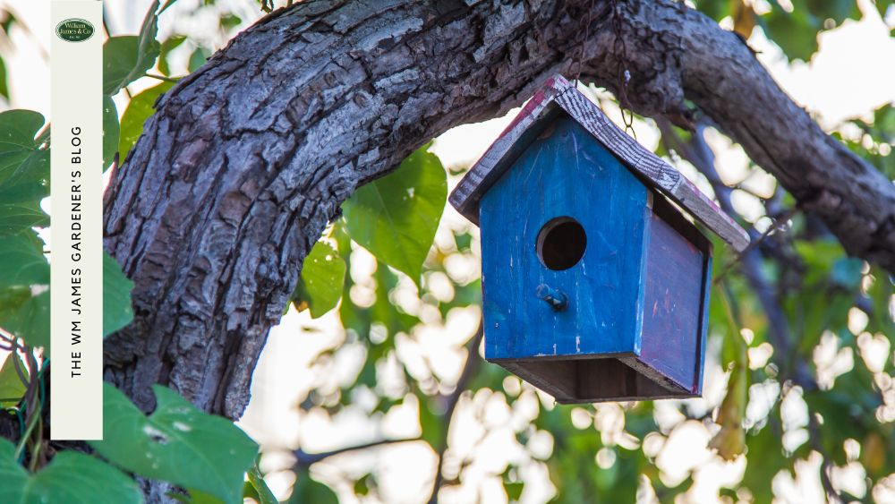 bird house in garden