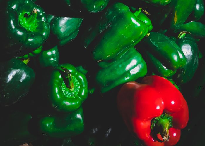 Close up photo of different bell peppers