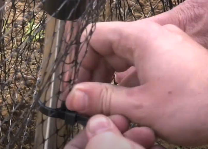 fruit cage DIY
