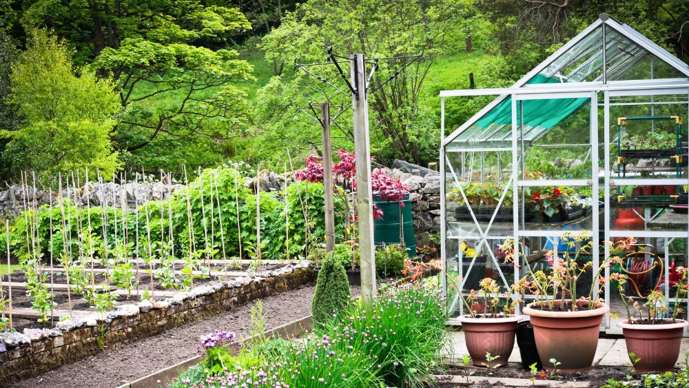garden design ideas