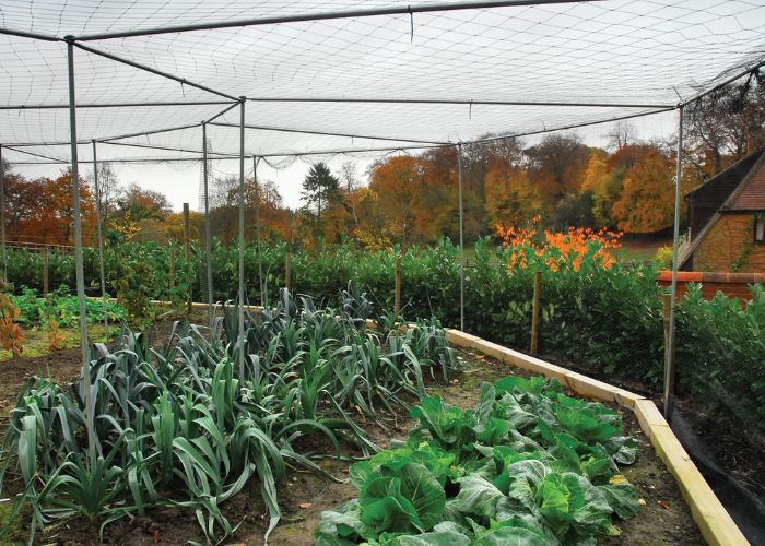 High Quality Fruit Cage