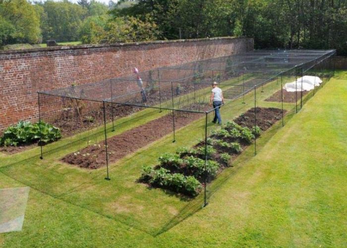 Quality Fruit Cage