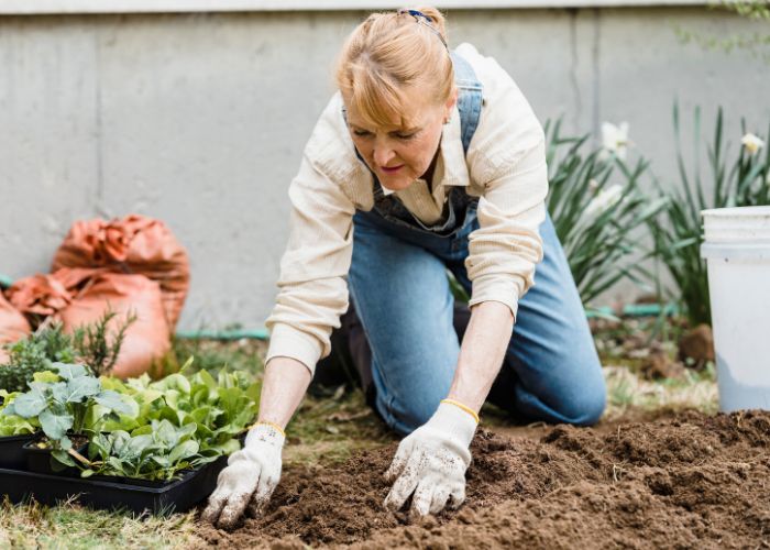 Womna mulching in her garden