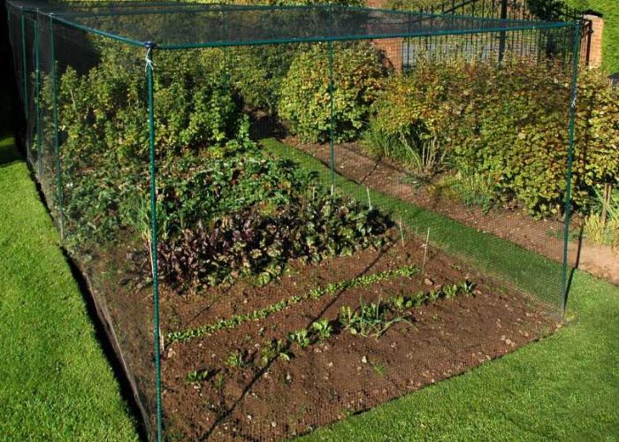 Premium Quality Steel Fruit Cage