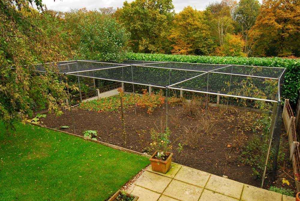 How To Build Your Own Fruit Cage WM James & Co.