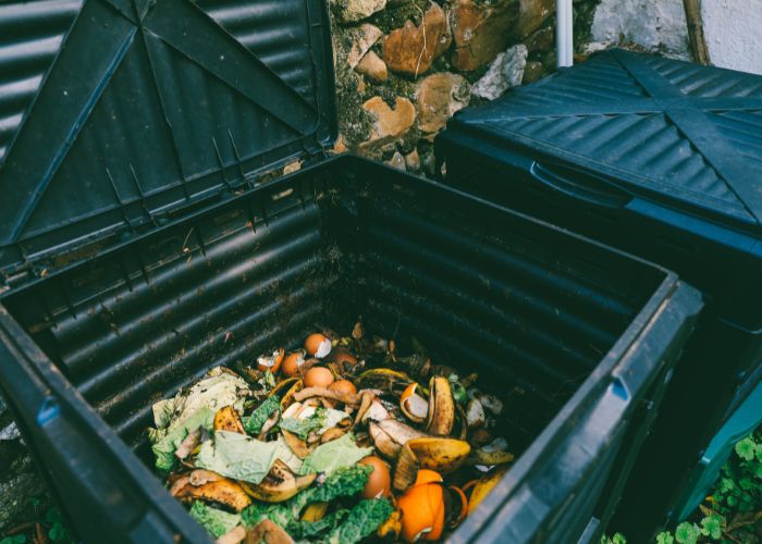 Common Signs & How to Get Rid of Rats in the Garden WM James WM