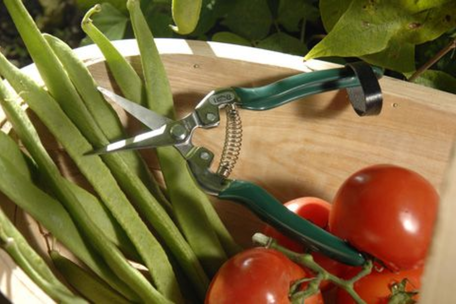 fruit and veg snips