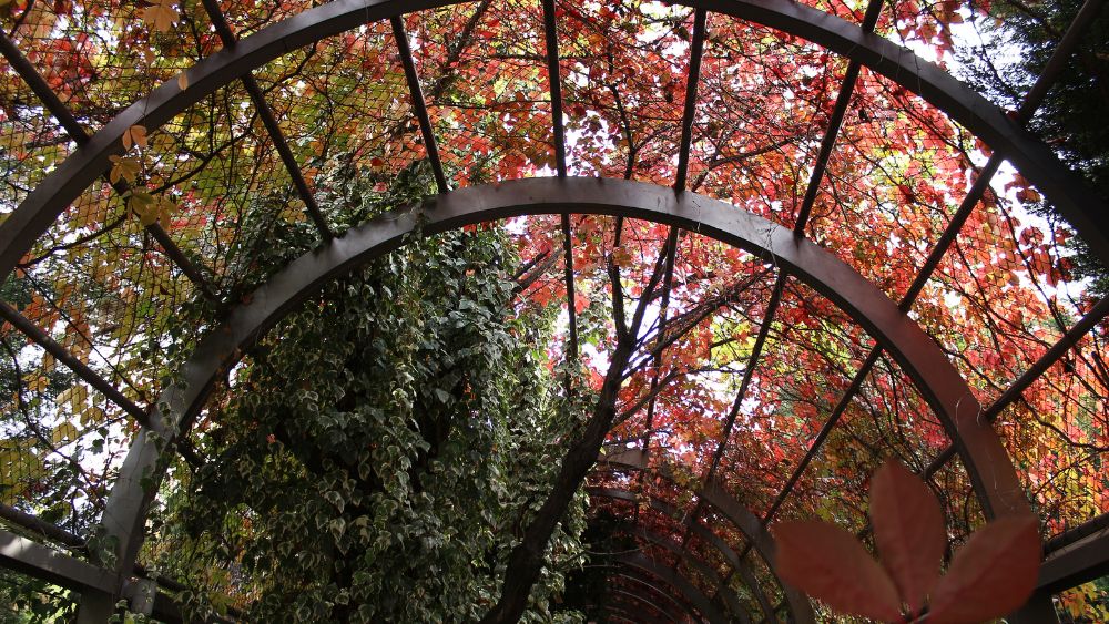 Graden Net Tunnel