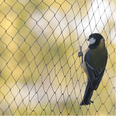 Anti Bird Netting