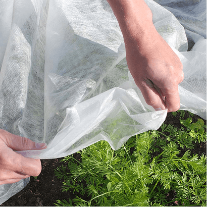 Sowing and Planting