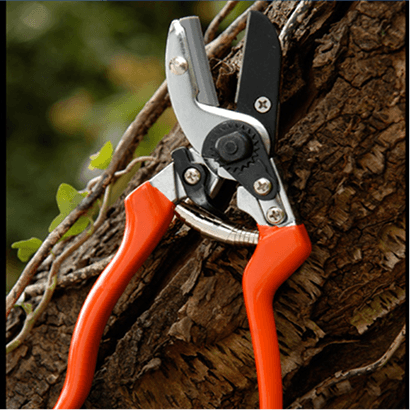 Hand Tools