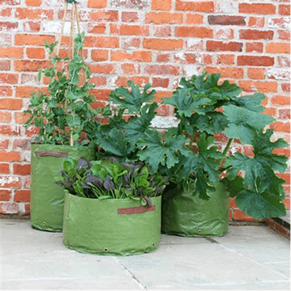 Sowing and Planting